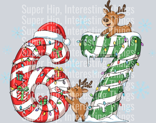 6-7 Reindeer