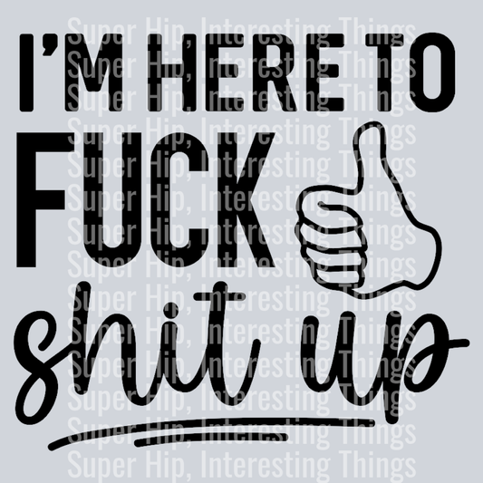 Im here to fuck shit up-01