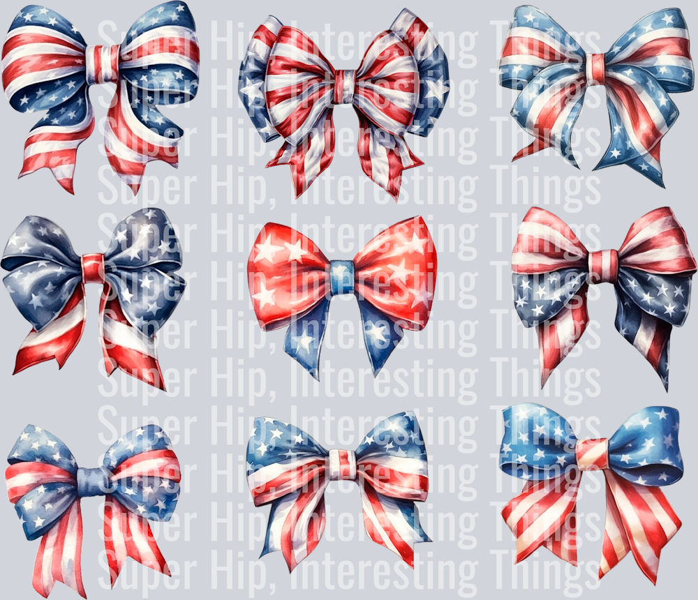 USA Coquette Bow 2
