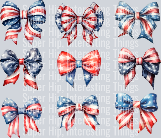 USA Coquette Bow 2